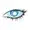 cassandra_(1).webp